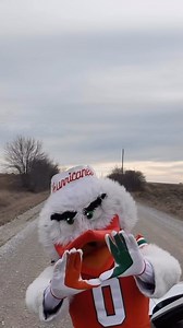 Cross-country cruising in my whip looking for some Iowa State Cyclones 🏎️💨 No sight of them just yet, but there’s a Hurricane headed their way 😤🙌 #GoCanes #ItsAllAboutTheU #PopTartsBowl | Sebastian the Ibis