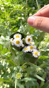 21K views · 195 reactions | Title: "Palm Leaf Baby Basket: Eco-Friendly Crafting" Hashtags: - #KindergartenHandmade - #LaborDayCraft - #EcoFriendlyCrafts - #NaturalMaterials - #BabyCrafts - #DIYBasket paper craft | paper craft ideas | Facebook
