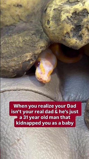 This realization scarred my Ball Python for Life😂🐍