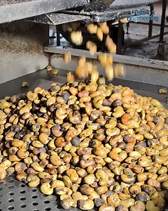 39K views · 82 reactions | Nut Master’s Factory Magic - How Cashews Are Made! | Unbox Engineering | Facebook