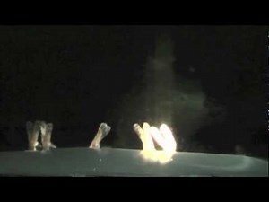 Fox shooting - spotlighting in Australia