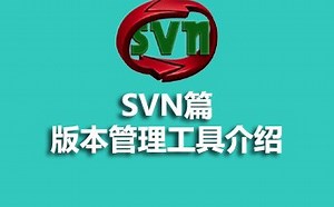 SVN版本控制实践