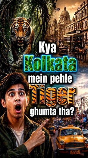 Kolkata city Tiger Story #shorts #kolkata #tiger