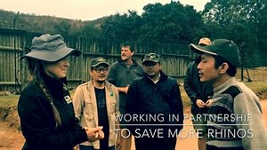 Care for Wild is working alongside Ujung Kulon National Park in Java and Leuser Conservation Forum in the first stages of a new initiative to help save the Javan and Sumatran rhino. It is estimated there are fewer than 80 Sumatran rhinos left in the world and around 35 Javan rhinos. The Indonesian Government and an alliance of international organizations have launched an initiative to help bring these critically endangered rhinos back from extinction. We were visited today by Dr Francois Deacon 