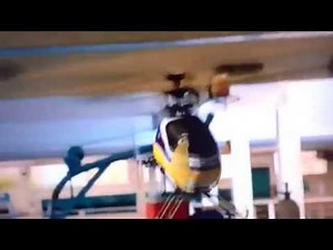 Dolphin Tale Clip: Helicopter Chase