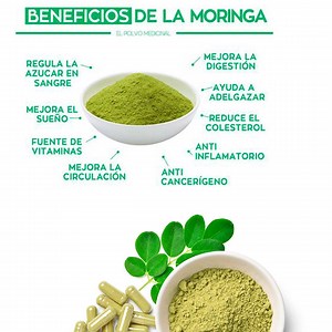 108K views · 3.6K reactions | Para que sirve la Moringa, como consumir la moringa sus beneficios y propiedades. ¡Que tengas un hermoso día! ❤️ Dios Te Bendiga ❤️ | Diabetes Tipo 2 | Facebook