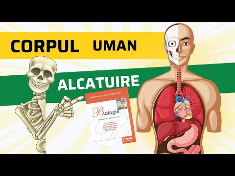 Corpul Uman - capitol INTREG pentru medicina - Organe, Planuri si Axe (materie admitere)