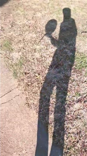 whitty#fnf #fnfmod #whittymod #whittyisback