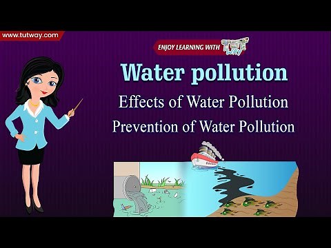 What is Water Pollution? | Effects of Water Pollution | Prevention of Water Pollution | Science