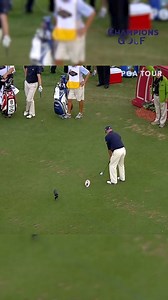 Champions Golf TV on Instagram: "Walk-off playoff ACE ‼ Watch PGA TOUR Play only on Champions Golf! #pgatour #pgachampionship #golf #golfswing"