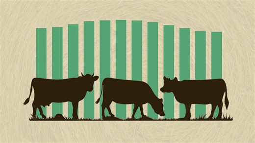 Get the Facts: Why ground beef prices are soaring and could continue