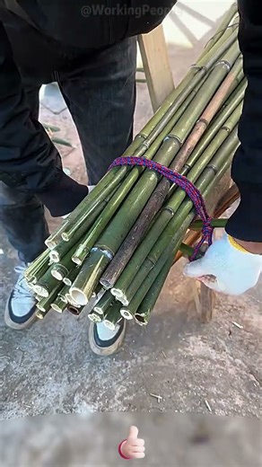 DIY Practical Strapping Auxiliary Tool 🪢 Labor-Saving & Non-Slip ✨ Super Easy for Bundling
