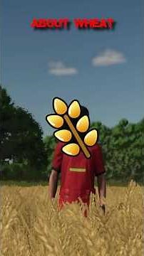 WHEAT in FS25 - Everything you NEED to know!