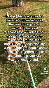 Behavioral euthanasia. Let’s talk about it… “Behavioral euthanasia (BE) occurs when the severity of a dog's behavior negatively impacts their quality of life, the safety of the pet guardians, or poses too much risk to the public.” We don’t pull dangerous dogs into our rescue. We also don’t adopt out dangerous dogs. Any rescue that does is doing a disservice to a breed that already faces so many challenges daily. Our beloved breed is discriminated against and killed on a daily basis by no fault o