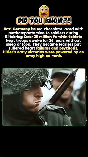 The Strange Chocolate Used by German Soldiers in WWII