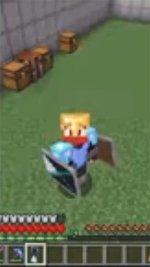 Minecraft but I can colorful shields