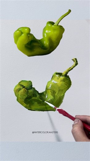 Watercolor Art Gallery on Instagram: "Watercolor chilli painting by artist Mai Guangwen (Douyin) — a vibrant demonstration of freshness and form, where confident brushstrokes and transparent washes capture the natural glow of the subject. Lively greens, controlled edges, and subtle highlights bring a simple chilli to life with striking realism. Artist: Mai Guangwen (Douyin) #watercolorpainting #stilllifewatercolor #foodart #watercolordemo #realismart"