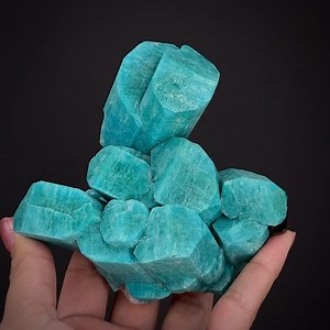 Amazonite and Smoky Quartz (1997) - Tree Root Pocket, Two Point claim, Teller Co., Colorado, USA More info: https://www.irocks.com/minerals/specimen/52672 The Tree Root Pocket find of 1997 is literally the most valuable and the most legendary find of Colorado amazonite to this day. Specimens that are legitimate, trackable, and provable to this pocket are uncommon. I can recognize them generally immediately in-person from the color and style, but it is often hard to compare these to others from p