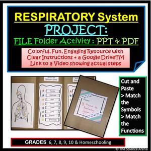 Respiratory System Project | Human Body Systems File Folder Activity | Printable