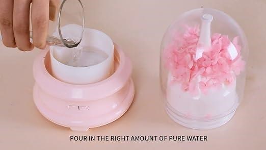 Essential oid diffuser with night lights