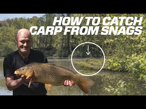 Snag Fishing For Carp (Complete Step-By-Step Guide)