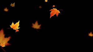 Animated Leaf Falling Autumn Maple Leaves 库存影片视频（100% 免版税）3536229681 | Shutterstock