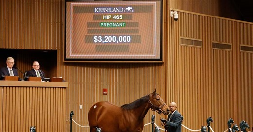 $3.2 Million Broodmare Tiffany Case Tops Opening Day Of Keeneland January Sale