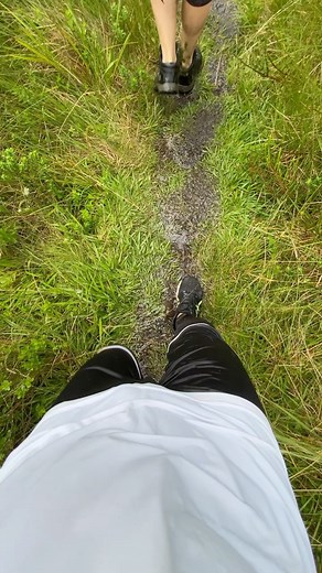 Júnior Sev on Instagram: "Sabe aquele atalho top??! Quem nunca caiu nesse papinho de trilheiro?!? Compartilha e marca seu amigo que tem@sempre um atalho top! #santacatarina #sulcatarinense #rolesdosul #turismo #trip"