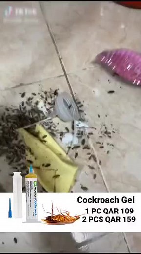 Powerful Advion Cockroach Killer Gel Bait Made In USA