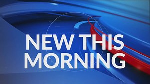 Panola County Sheriff seriously injured after tree fell on him