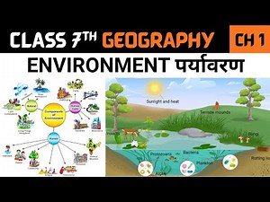 Environment FULL CHAPTER in Hindi | पर्यावरण का महत्व | NCERT Class 7 Geography Chapter 1