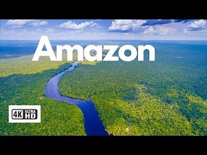 Amazon 4k HD - Rainforest
