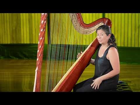 Los instrumentos de la orquesta - El corno, el arpa y la percusión