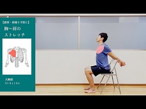 椅子に座って行う胸〜肩（大胸筋 だいきょうきん）ストレッチ【1分解説】