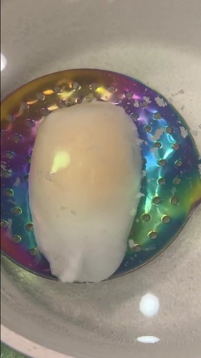 I finally got a hold of some goose eggs again- I have been thinking about how badly I wanted to make a giant poached egg ever since the last time I cooked one of these! Goose eggs are really rich and the egg whites get a little bit tougher than chicken so I was excited to see what happened. I made the mistake of only getting three goose eggs and the first two’s yolk split when I cracked them- luckily the third one held together. I started out by soaking the goose eggs is equal parts water and wh