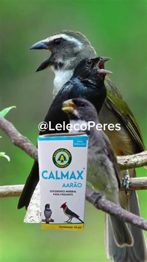 Benefícios do Calmax para Aves: Suplemento Essencial