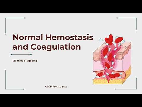 ASCP | MLS | MLT | Normal Hemostasis and Coagulation