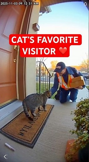 Mailman Stops to Pet Friendly Cat — Caught on Doorbell Camera 🐱📬❤️