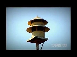 Federal Signal Model 5BT (Sick), Alert Signal: Haysville, Indiana