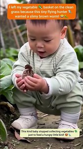 Innocent baby finds a ground worm to feed a hungry little bird in the garden! 🥰🐦