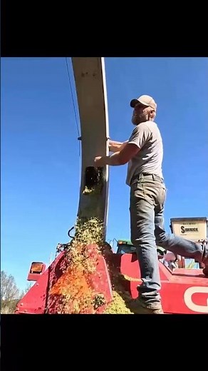 Plugged up the chopper! Corn Silage Harvest 2024! #farming #agriculture #tractors #harvest #dairy