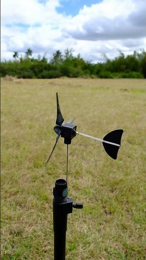 The World's Smallest Functional Wind Turbine! #3dprinting #windturbine #windturer
