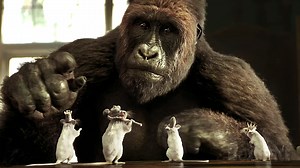 250K views · 5K reactions | How did they find this footage of us during quarantine? | Boxoffice Movie Scenes | Facebook