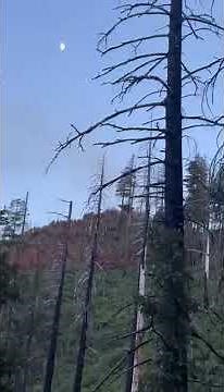 Butler Fire 20250704