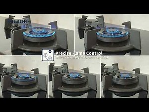 FUJIOH Built-In Gas Hob FH-GS30