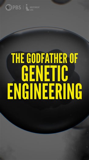23K views · 269 reactions | Phil Sharp stepped into a lab on a mission: to better understand diseases so we can more effectively treat them. The result? A Nobel Prize and a new movement in biotech. Narrated by Mark Ruffalo, "Cracking the Code: Phil Sharp and the Biotech Revolution" from Independent Lens | PBS premieres Monday, Oct. 6 on the PBS app. | PBS | Facebook