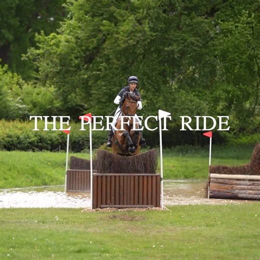 Eventing Season is Back! And we've got the perfect saddle for you and your horse to have an amazing year. | The Saddle Bank