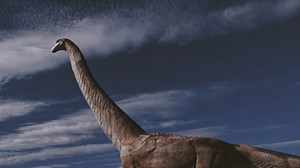 Why were dinosaurs so massive? Here’s what science says