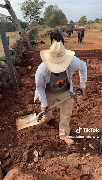 Laberinto Western Wear (@usa.laberinto.w.w)’s videos with sonido original - jaritneramirez