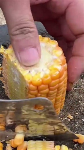 cutting corn to separate the kernels is done manually#creative #shorts